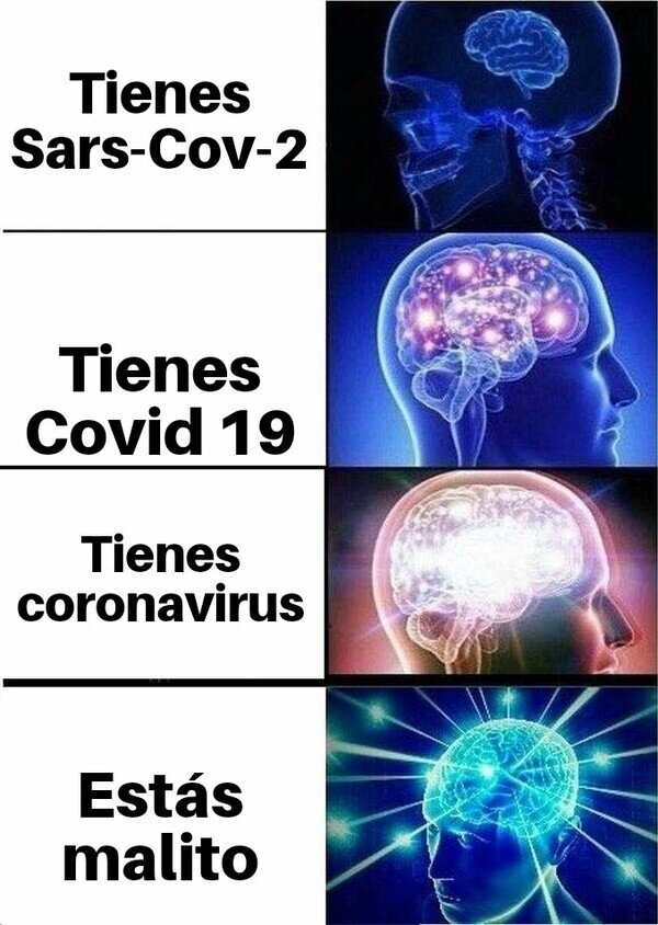 cerebro,Coronavirus