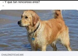 Enlace a Rencoroso como un perro