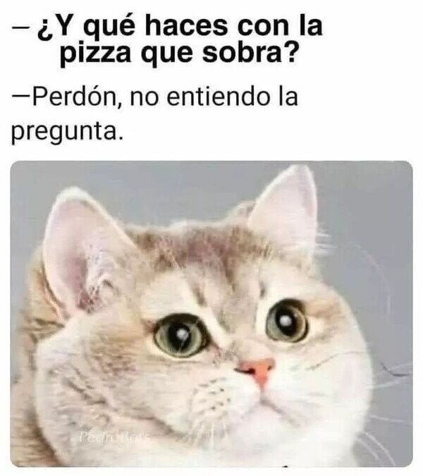 Meme_otros - ¿Pizza que qué?