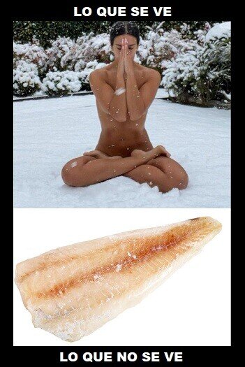 congelado,Cristina Pedroche,desnuda,filete,frío,nieve,pescado