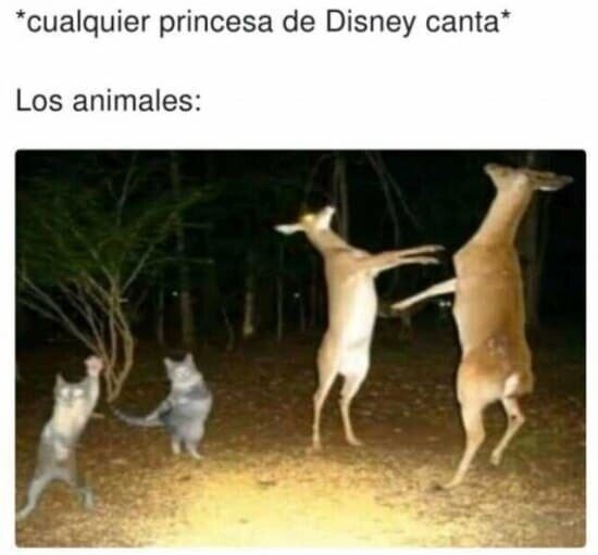 Meme_otros - Los festines animales que se montan en Disney