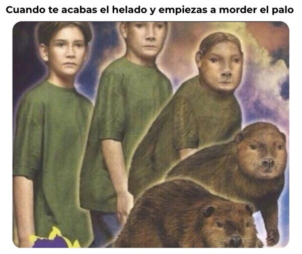 Otros - Me transformo en un castor