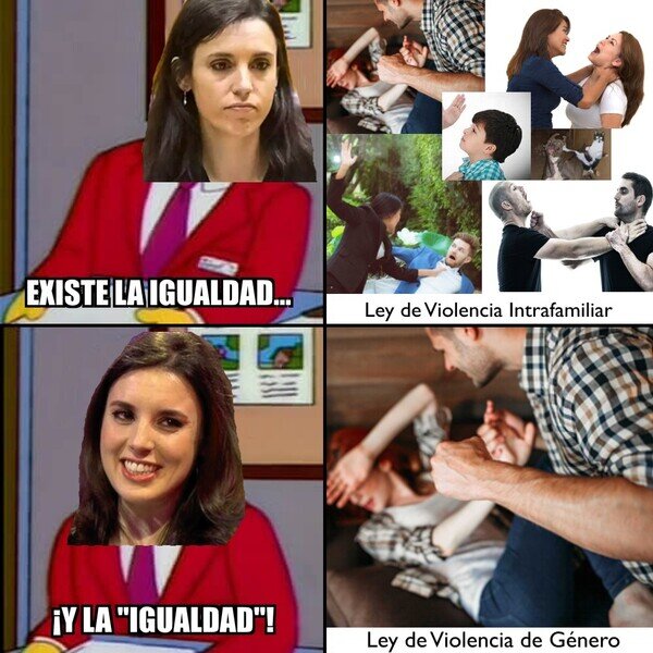 g&eacute;nero,igualdad,irene montero,ministerio,violencia