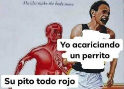 Enlace a ¿Por qué siempre tan salidos?