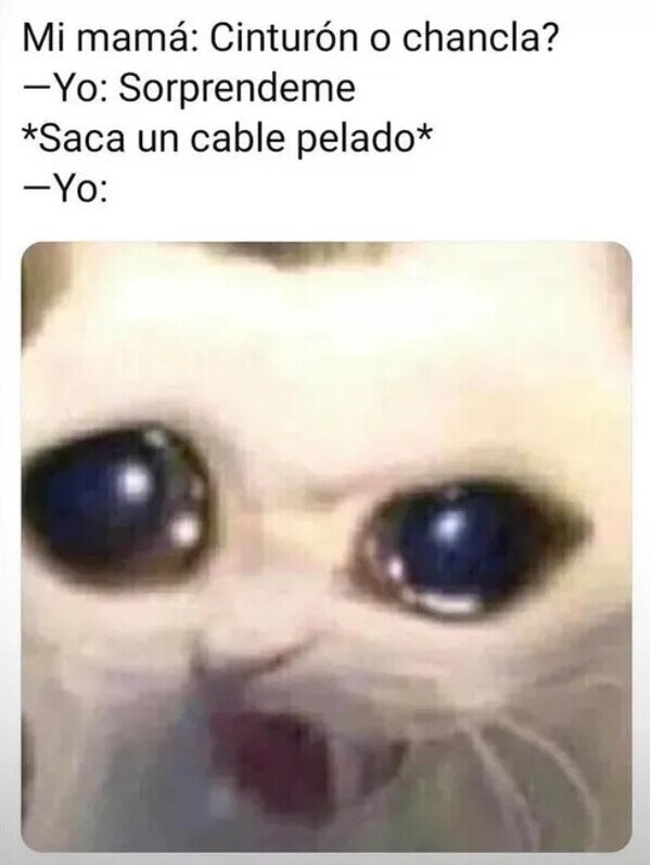 Meme_otros - Implementando nuevas técnicas