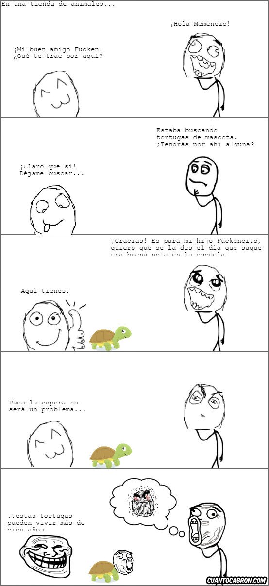 animales,cien a&ntilde;os,esperar,mascota,tienda,tortuga