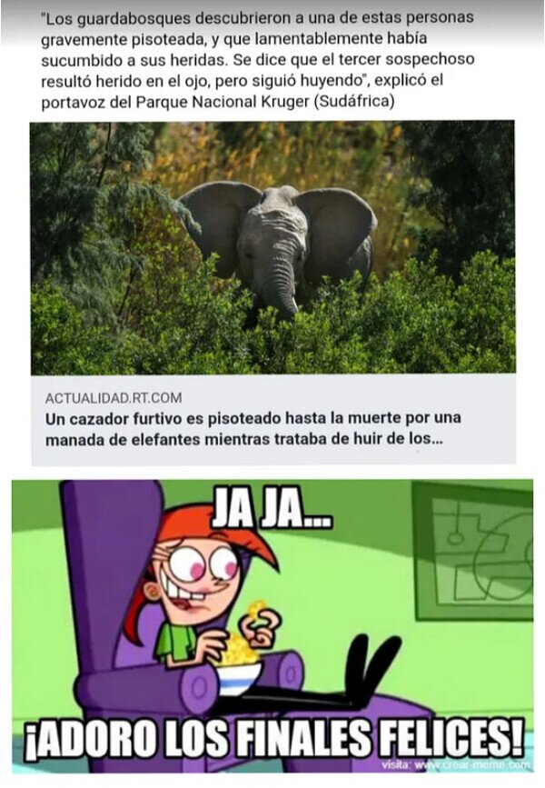 aplastar,cazador,elefantes,furtivo,morir