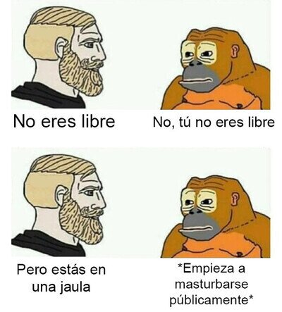 Mejor viñeta de ayer