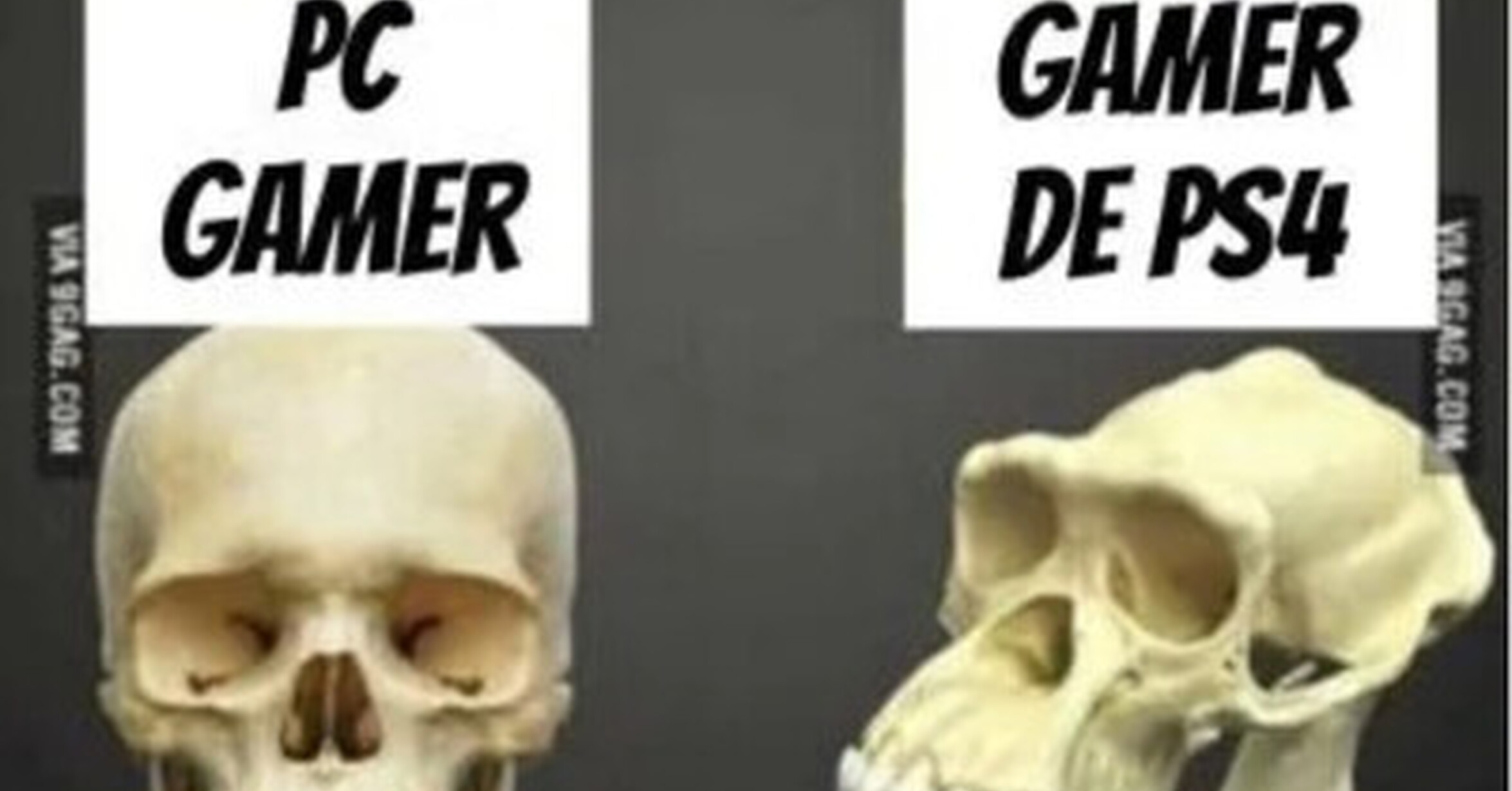 Cuánto cabrón / Hay gamers y GAMERS