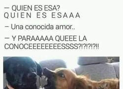 Enlace a Está pasando