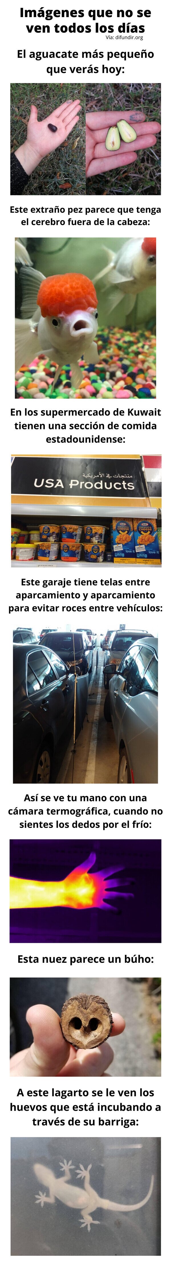 CC_2782213_749820ccc6c64267834e071aa70acfc4_meme_otros_imagenes_que_no_se_ven_todos_los_dias_36.jpg