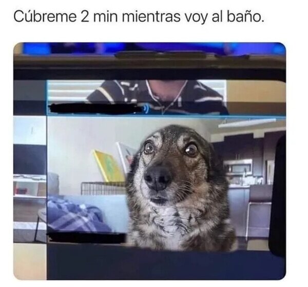 CC_2782683_8b45ec3c051b4d15b027746bb51b1146_meme_otros_un_perro_te_sirve_para_todo.jpg