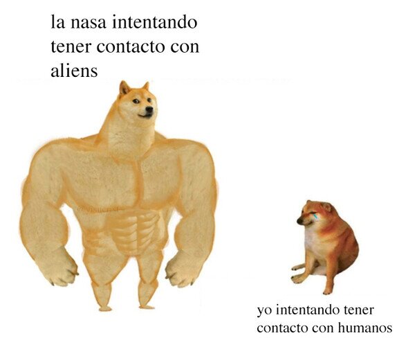 CC_2782811_c6d4f1b67fef478a9dc50395839eda71_otros_a_mi_ya_me_cuesta_con_los_de_aqui.jpg