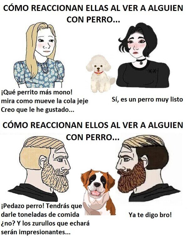 Meme_otros - Cuando ven a alguien con perro, ellas y ellos...