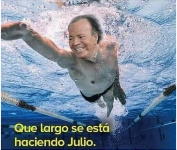 Julio,Julio Iglesias,largo,mes,piscina