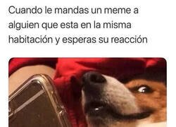 Enlace a ¡Vamos, ríete!