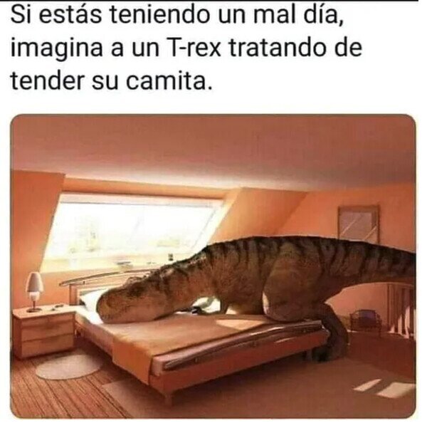 cama,dinosaurio,hacer,T Rex,triste