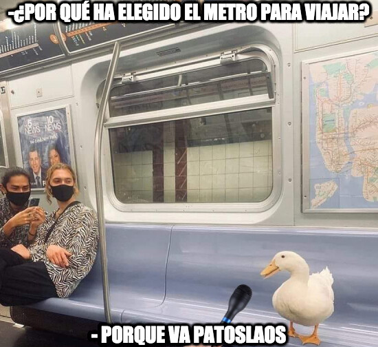 Meme_otros - ¿Un pato en el metro?