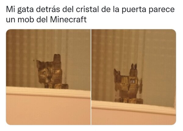 gato,minecraft,mob,pixelado,ventana