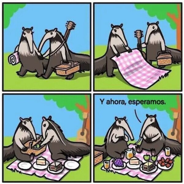Meme_otros - El picnic de los osos hormigueros