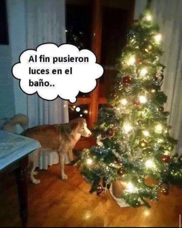 árbol,baño,luces,mear,navidad,perro