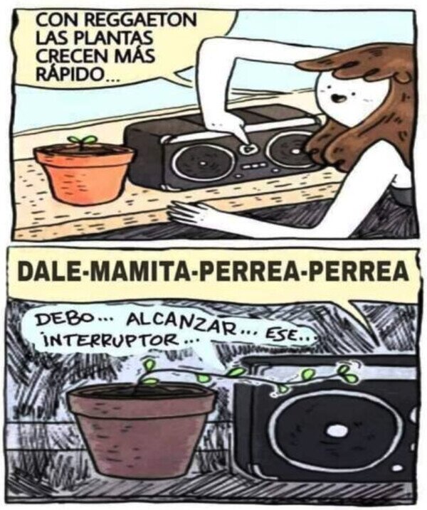 Otros - Reggaeton para las plantas