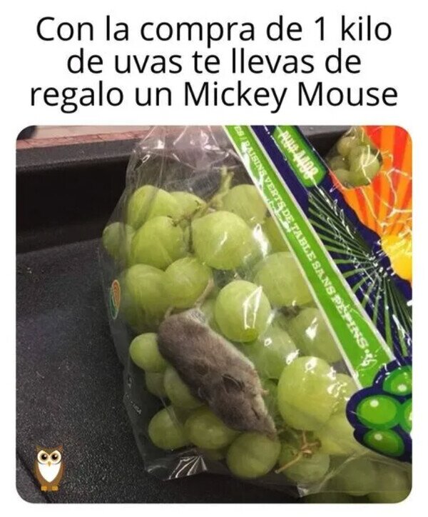 disney,Mickey Mouse,ratón,uvas