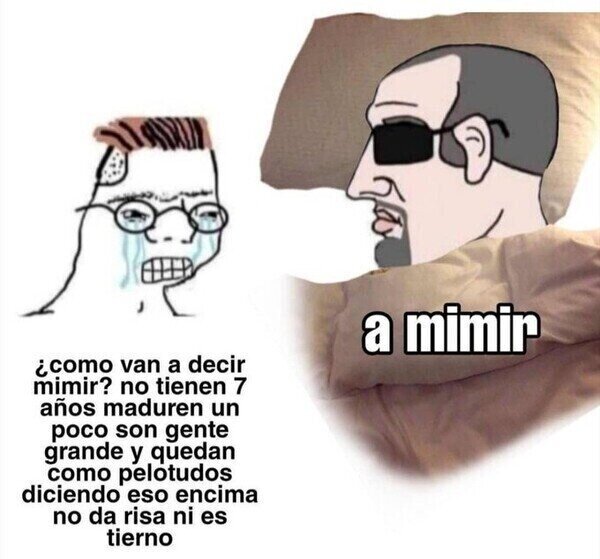 Meme_otros - A mimir