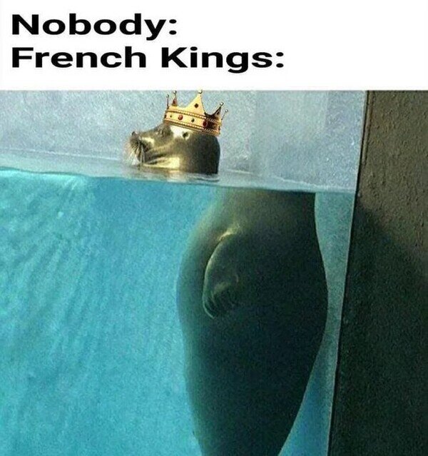 cabeza,decapitados,foca,franceses,reyes