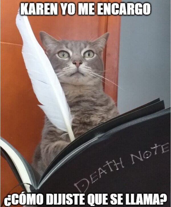 Meme_otros - Gato Death Note