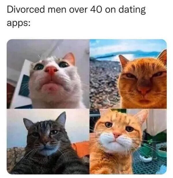 Meme_otros - Divorciados mayores de 40 en las apps de citas