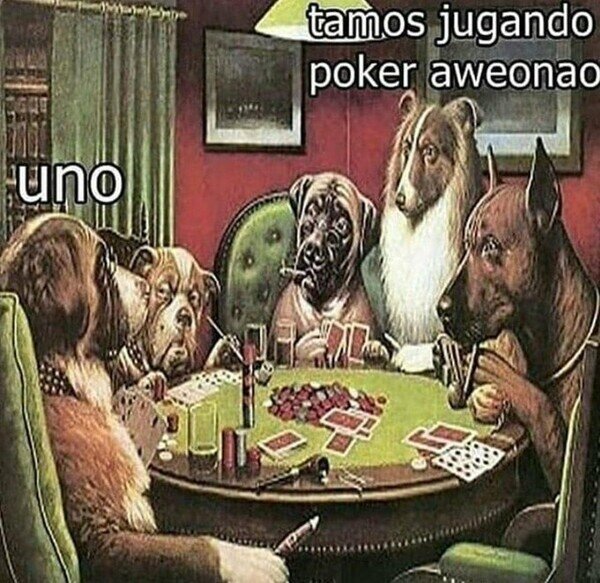 juego,perros,poker,uno