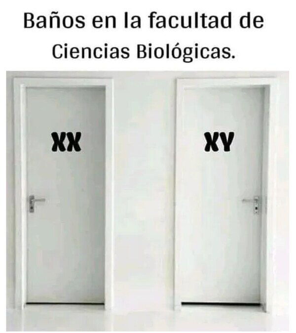 baños,biología,hombres,mujeres,XX,XY
