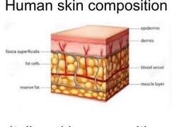 Enlace a Composición de la piel humana