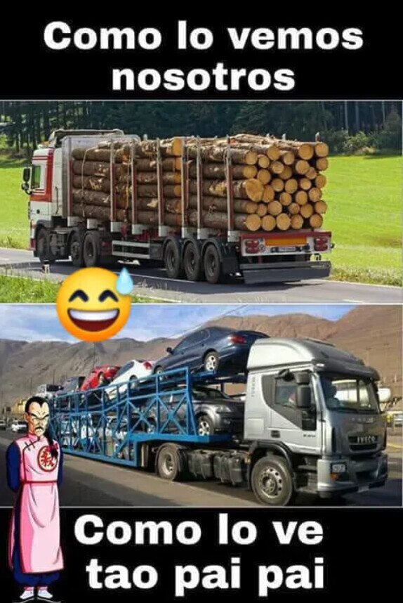 Meme_otros - Los troncos eran su transporte
