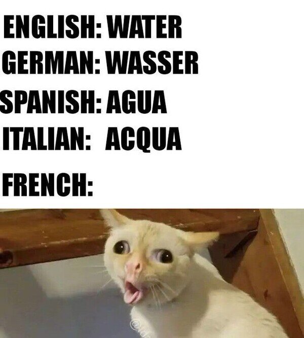 agua,eau,francés,gato,idiomas,pronunciar