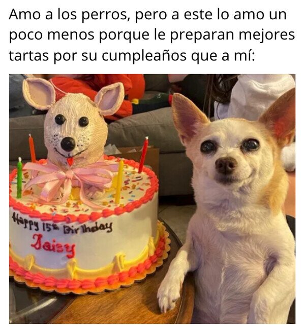 cumpleaños,pastel,perro,tarta