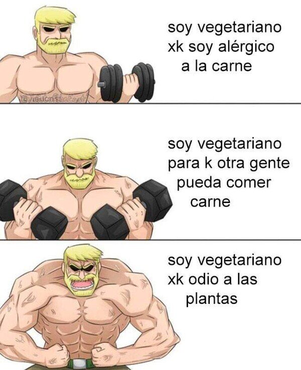 Meme_otros - Diferentes motivos para ser vegetariano