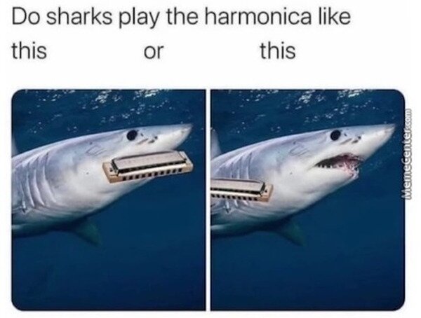 Meme_otros - ¿Cómo tocarían la armónica los tiburones?