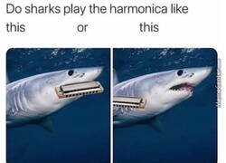Enlace a ¿Cómo tocarían la armónica los tiburones?
