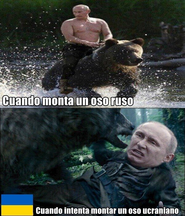 Meme_otros - Putin y los osos