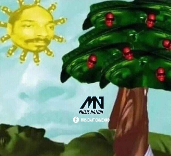 Meme_otros - Cuánto más ves la imagen, más Snoop Doggs aparecen