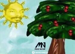 Enlace a Cuánto más ves la imagen, más Snoop Doggs aparecen