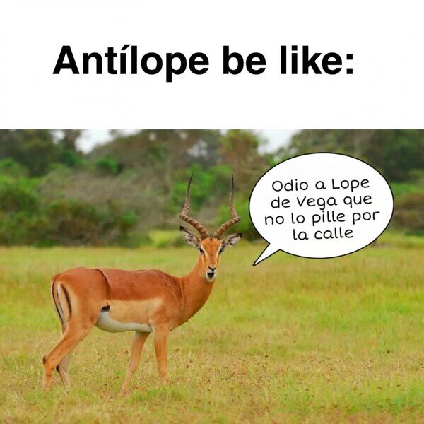 animal,anti,antílopes,Lope de Vega,odiar