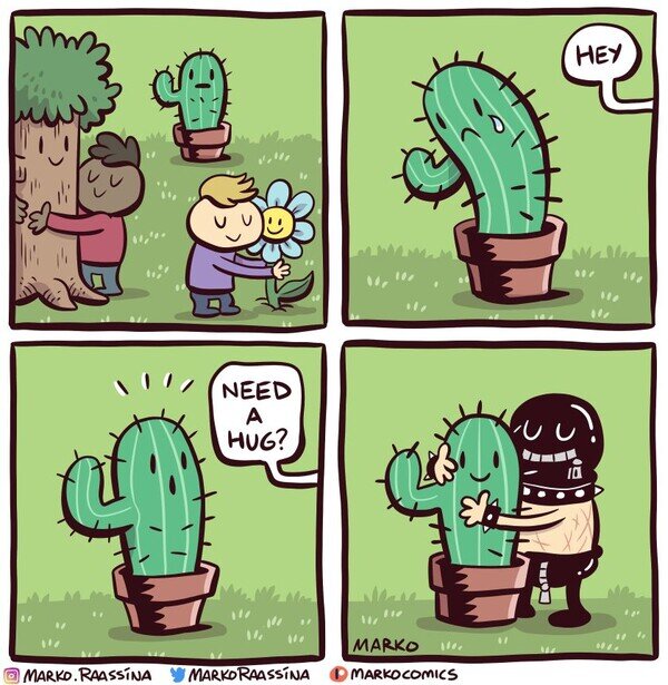 abrazar,abrazos,cactus,masoca,plantas