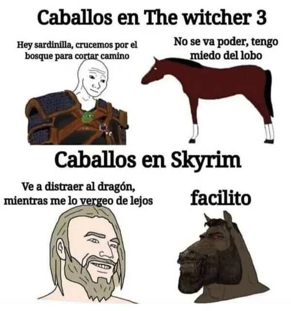 caballos,Skyrim,The Witcher,videojuegos