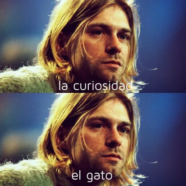 curiosidad,gato,Kurt Cobain,matar