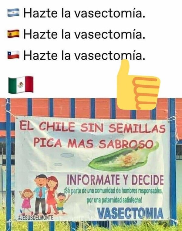 Meme_otros - En México saben verderlo bien