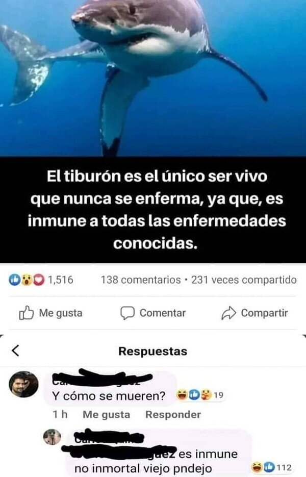 Meme_otros - ¿Cómo se mata a un tiburón?