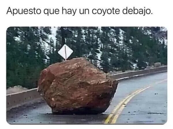 carretera,correcaminos,coyote,piedra,roca